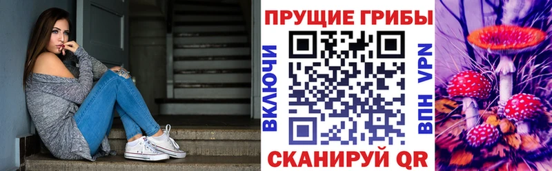 купить наркотик  Шиханы  Псилоцибиновые грибы мицелий 