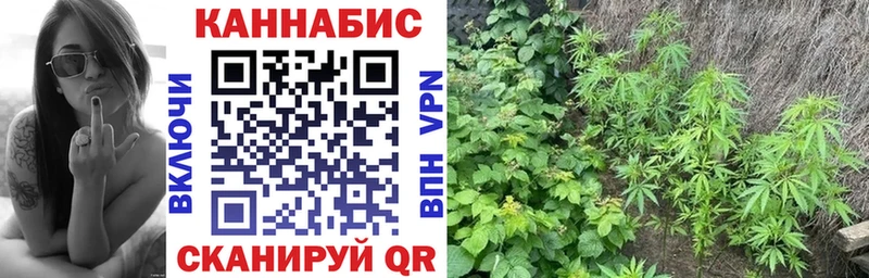 МАРИХУАНА ГИДРОПОН  Шиханы 